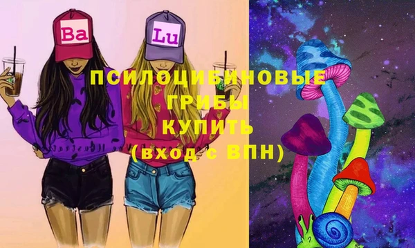 шишки Абаза