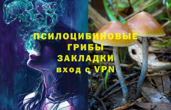 Альфа ПВП Алексин