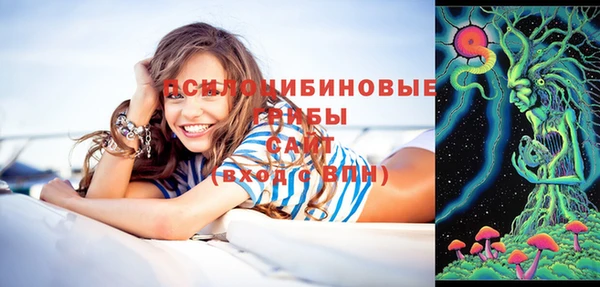 спайс Алексеевка