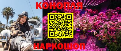 spice Пугачёв
