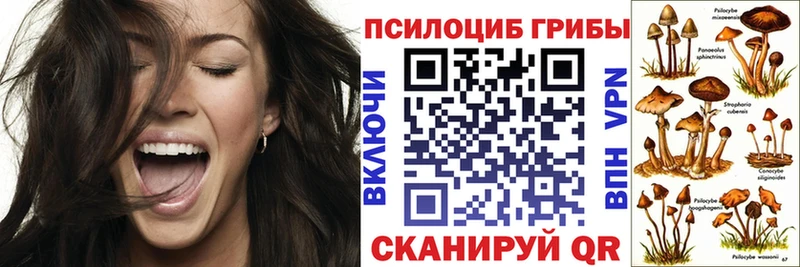 Галлюциногенные грибы Cubensis  закладка  Тверь 