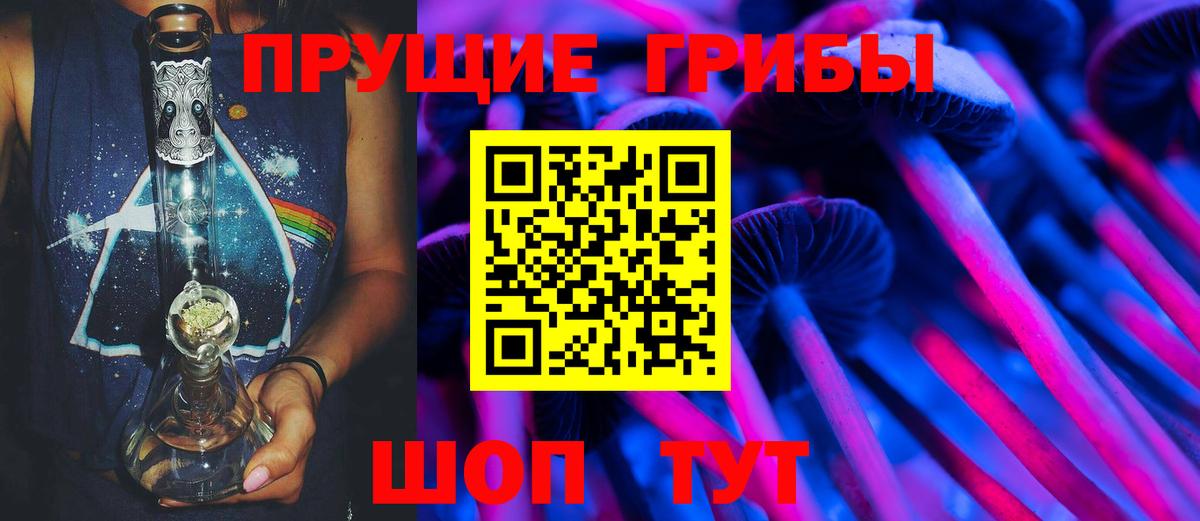 Псилоцибиновые грибы Psilocybe Тверь